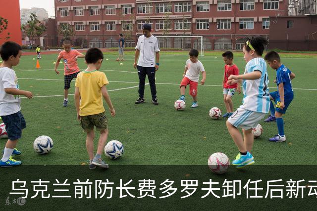 乌克兰前防长费多罗夫卸任后新动作：宣布打造“机器人军团”