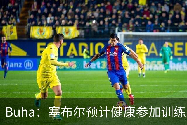 Buha：塞布尔预计健康参加训练营 但出场时间恐难达到斯玛特水平